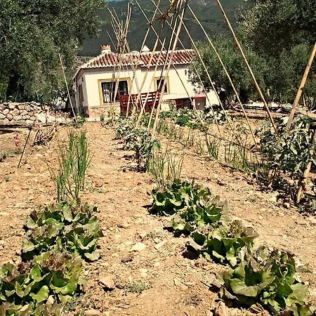 Casa La Barraca * Alcaucin